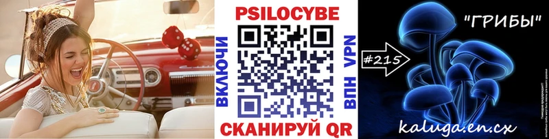 Галлюциногенные грибы Cubensis  Новосокольники 