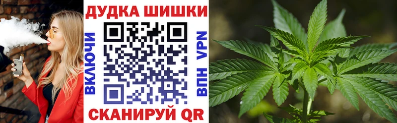 где продают наркотики  Новосокольники  Бошки Шишки White Widow 